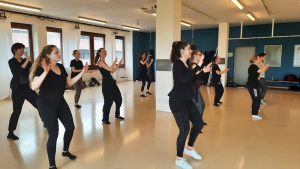 Tanzpädagogik Ausbildung Schweiz