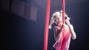 Matchless Tanzschule Zug Pole Dance Fitness Aerial Circus (1)