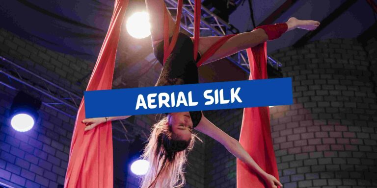 Aerial Silk Kurse Matchless Tanzschule Zug (2)