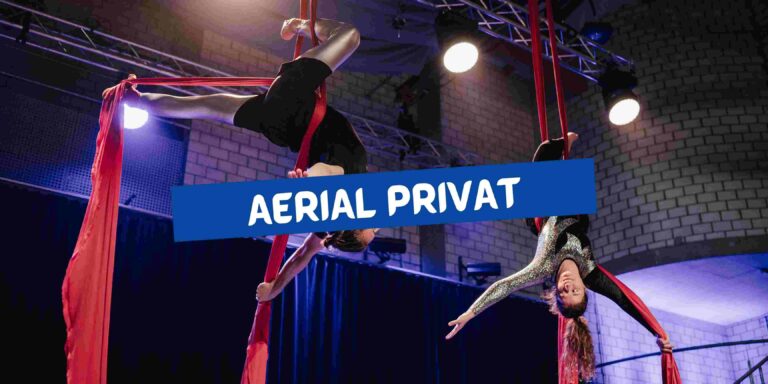 Aerial Circus Privatkurs Matchless Tanzschule Zug (4)